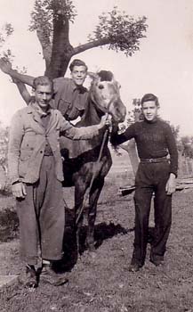 1946 : Paul MICO sur le cheval, Robert RENAULT, et Jojo FICHET