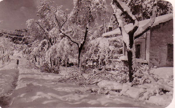 1954 : Hammam-Righa